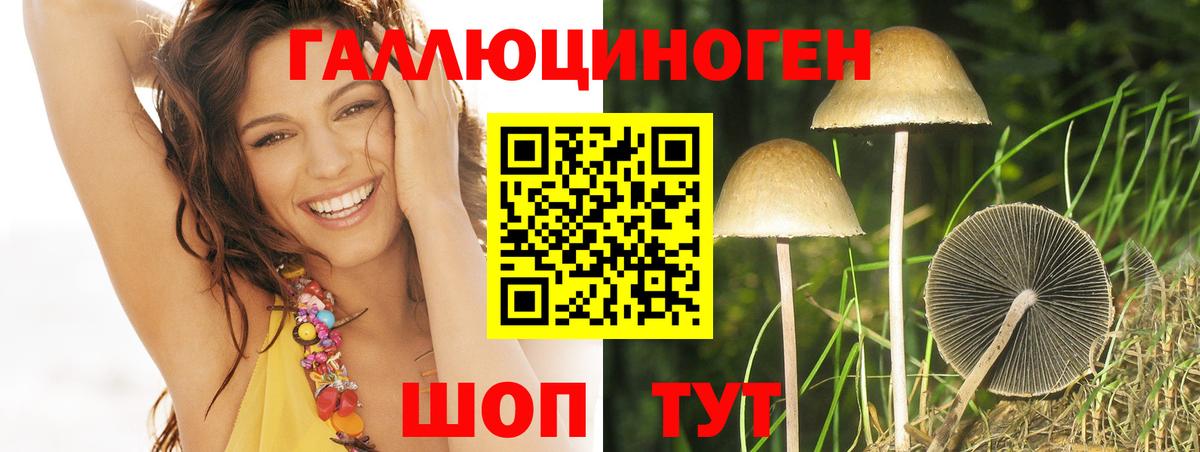 Псилоцибиновые грибы Magic Shrooms  Вход с VPN  Артёмовский 