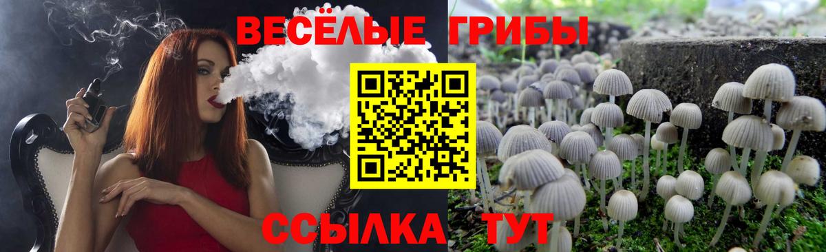 Псилоцибиновые грибы Cubensis Артёмовский
